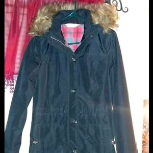 Hollister winter jacket